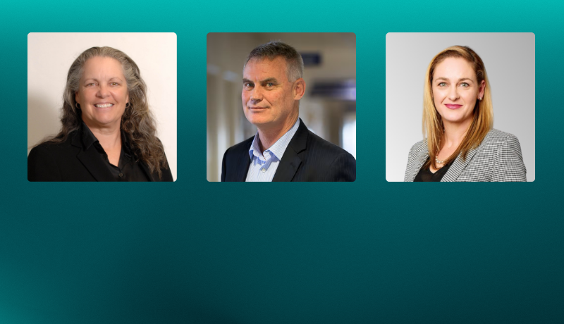 New directors (800 x 460 px)
